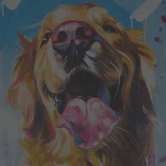 Kucherenko collection pets banner with brush stroke painting